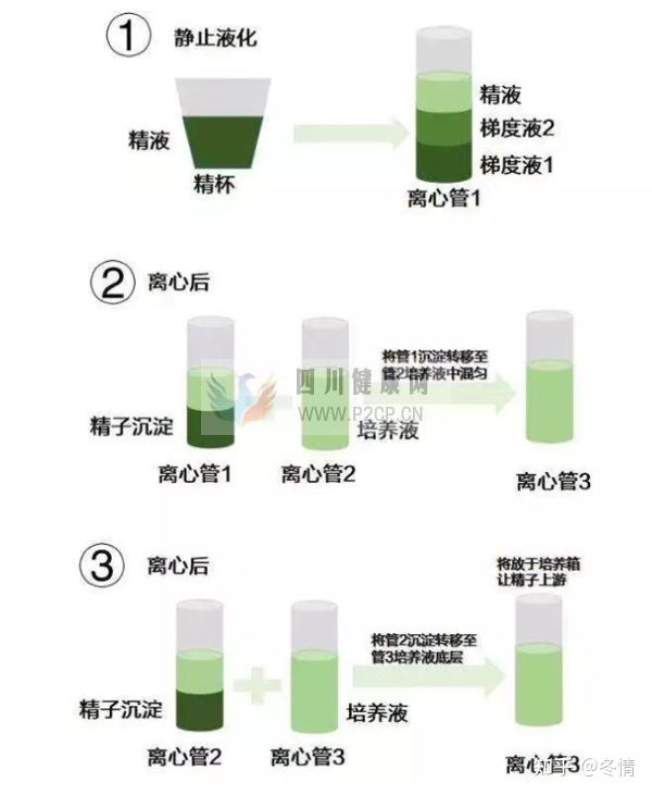 hiv到底是怎么洗精的呢(图2)