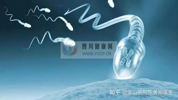 得了弱精子症别着急,看这篇文章就清楚了(图9)