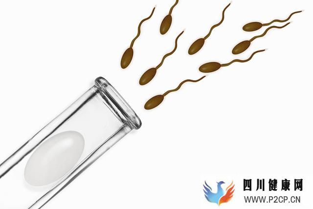 哪些情况可以做第三代试管技术?(图1) 哪些情况可以做第三代试管技术?(图1)