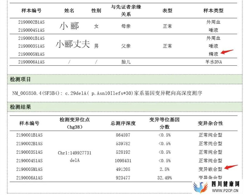 四川:四次不良妊娠史,多年艰难求子路,国际首例性腺基因嵌合行三代试管技术助孕婴儿健康诞生(图4) 四川:四次不良妊娠史,多年艰难求子路,国际首例性腺基因嵌合行三代试管技术助孕婴儿健康诞生(图4)