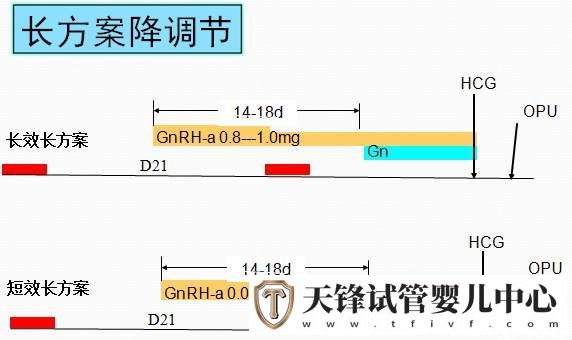 试管婴儿进周必读!长方案降调促排费用明细看这里(图2)