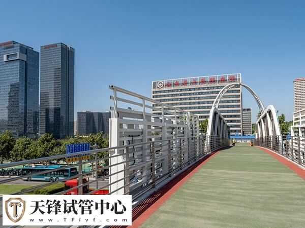山东三代试管医院哪个成功率高