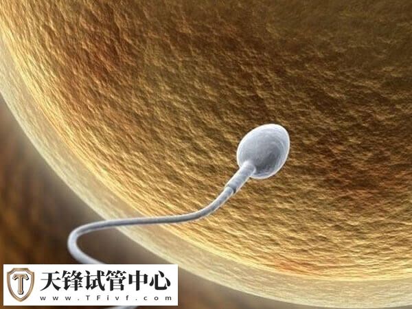 无头精子症是基因突变引起的