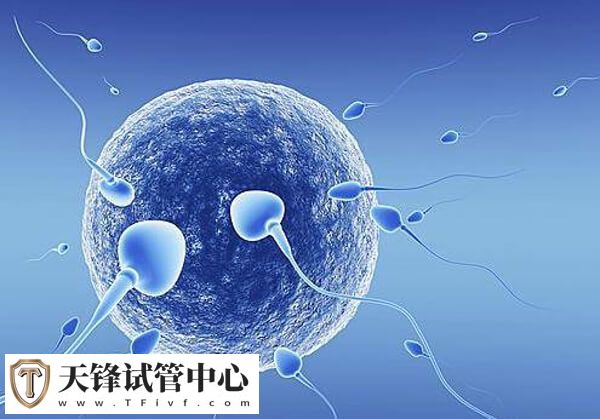 试管婴儿是如何进行取卵的