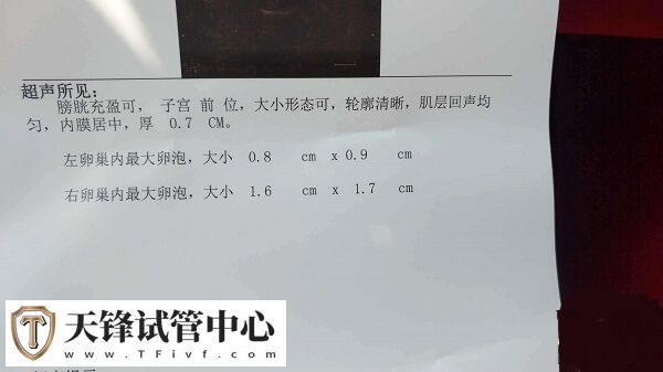 腺肌症患者先打降调再取卵