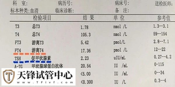 甲亢会不会影响试管移植率
