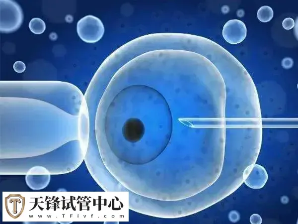 促排期间出现白带异常要及时就医