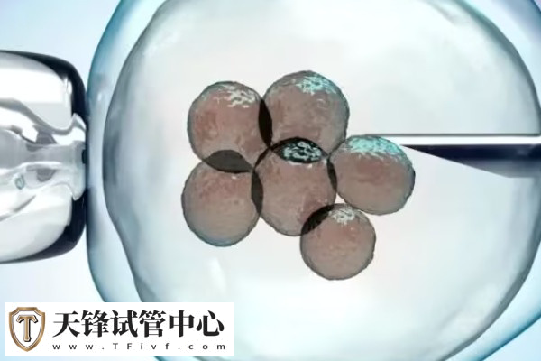 试管婴儿和自然生育孩子同等地位
