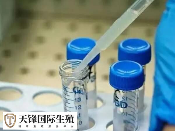 高龄试管注意饮食均衡