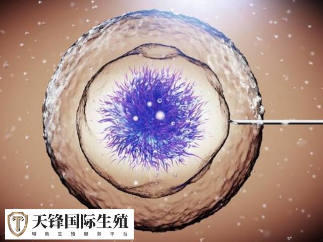 染色体异常容易移植失败