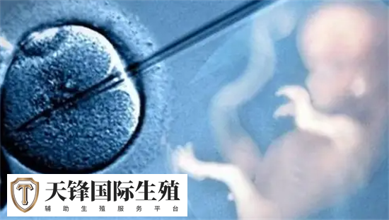 649c5d11d0c8be33e7886a8606454cd7_1742096791896741.png