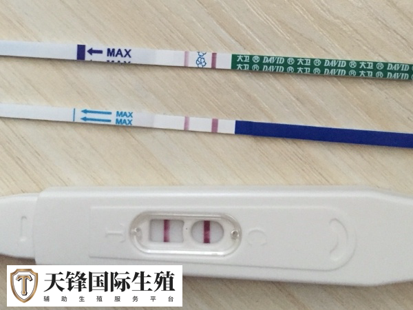 冻胚和鲜胚移植后验孕时间一样