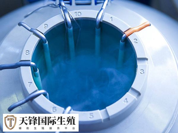 液氮可保存胚胎