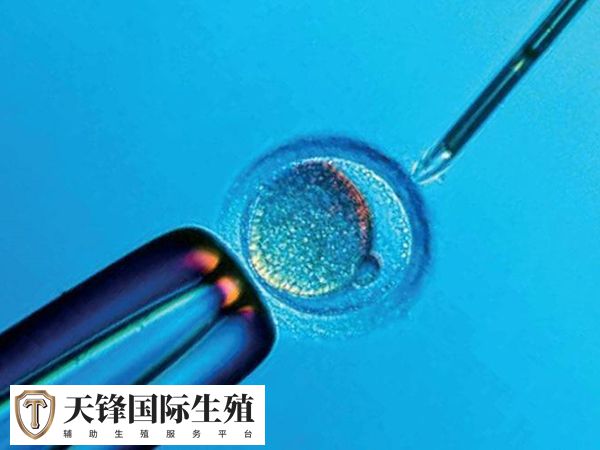 人授失败转试管一般需要2-10万元左右