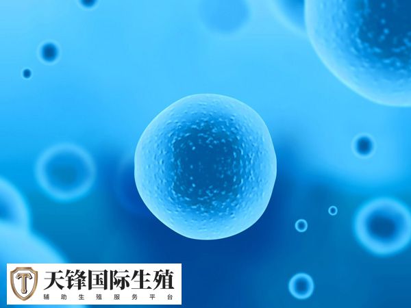 整体促排卵平均10天左右