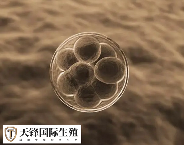 高水平的FSH通常表明卵巢储备功能下降