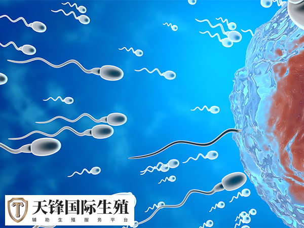 试管进周前要做全面的身体检查