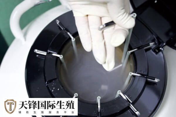 冻胚移植是有针对性的