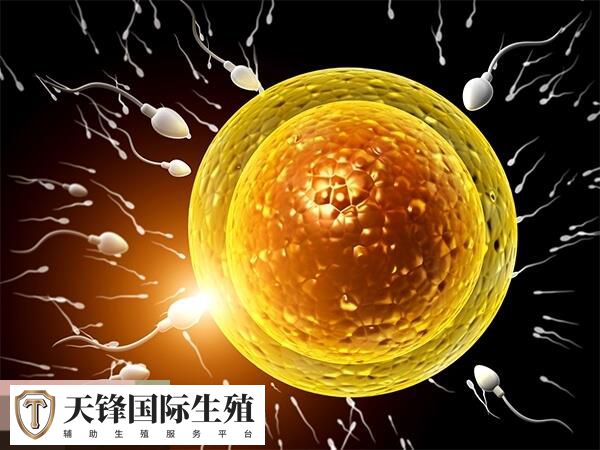 一代试管婴儿收费2-4万元