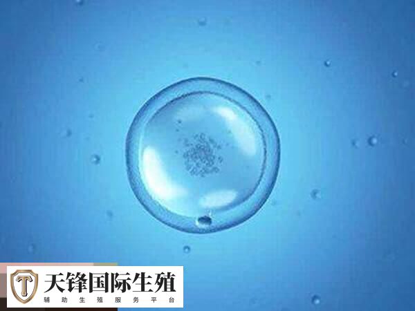 宁波目前一共有2家医院开展了试管婴儿技术