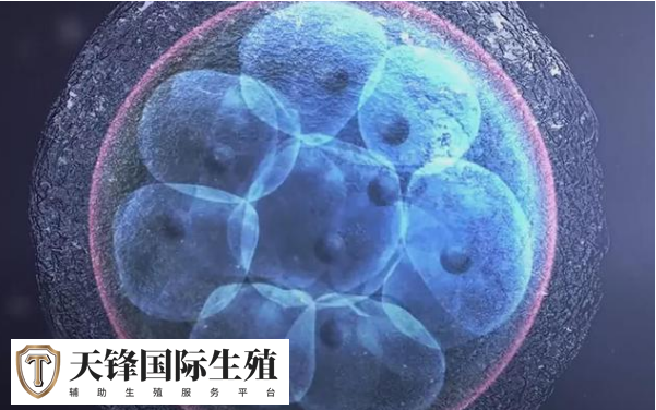 女性乙肝做供卵 三代试管哪家医院好?(图1) 女性乙肝做供卵 三代试管哪家医院好?(图1)