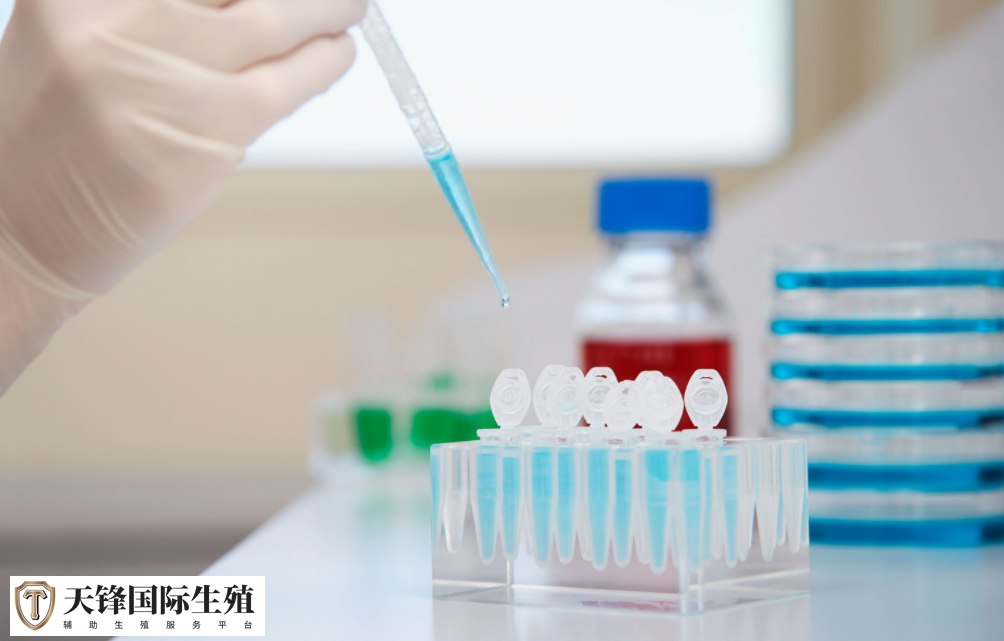 贵阳哪家医院做二代试管成功率比较高?(图1) 贵阳哪家医院做二代试管成功率比较高?(图1)