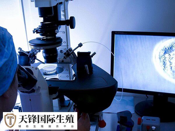 染色体平衡易位是染色体异常的一种情况