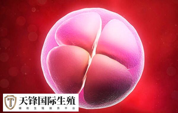 试管一个四级胚胎成功率不高