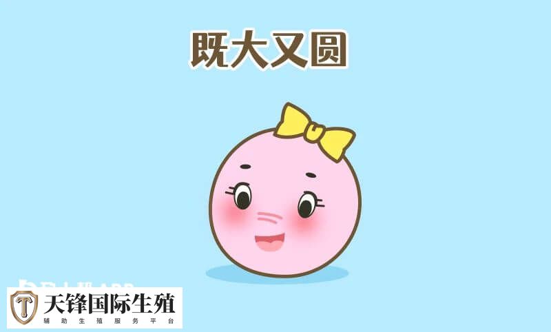 想养出好质量的卵子平时要多运动多吃五谷杂粮吗？