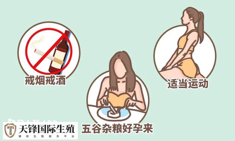 想养出好质量的卵子平时要多运动多吃五谷杂粮吗?(图2) 养出好质量的卵子的方法