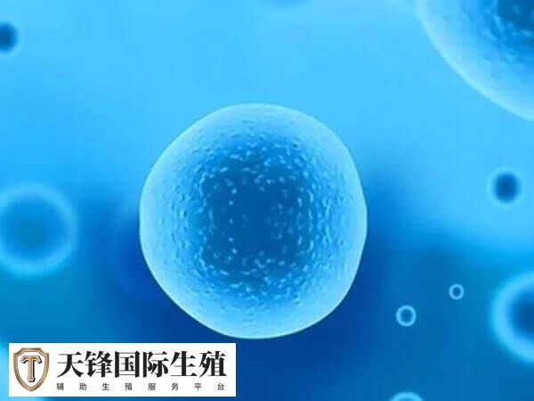 面瘫主要是由于面神经受损所致