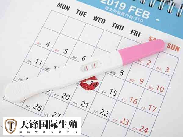 试管婴儿男胚胎有什么表现