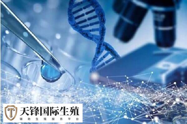 第三代试管成功率确实更高