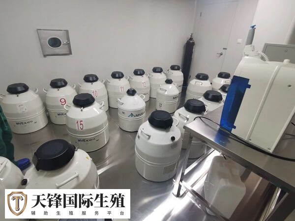 囊胚太多了不想全都冷冻保存能舍弃一些吗?(图1) 剩余胚胎可以继续冷冻保存