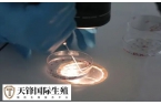 平衡易位试管怎么样